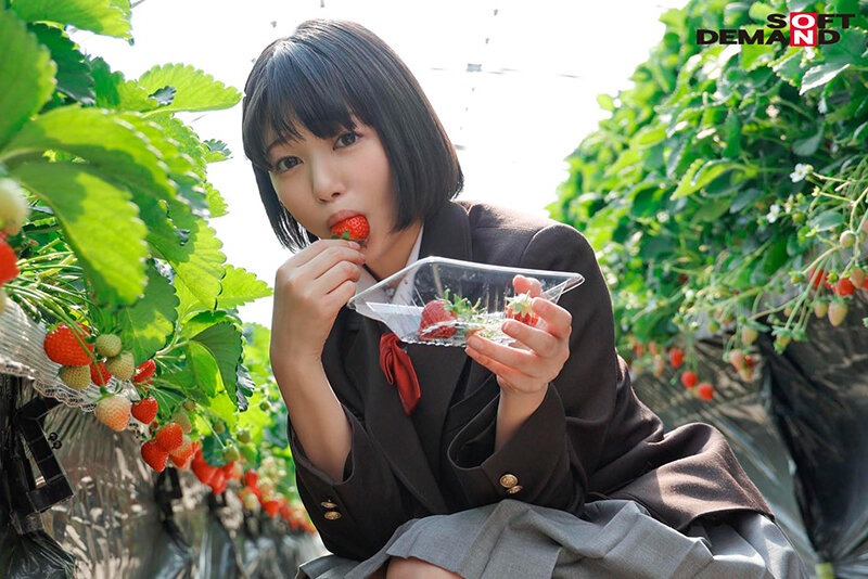 【AVレビュー】桃乃りん/未成熟なカラダ、あやうい美少女 18歳 SOD専属AVデビュー